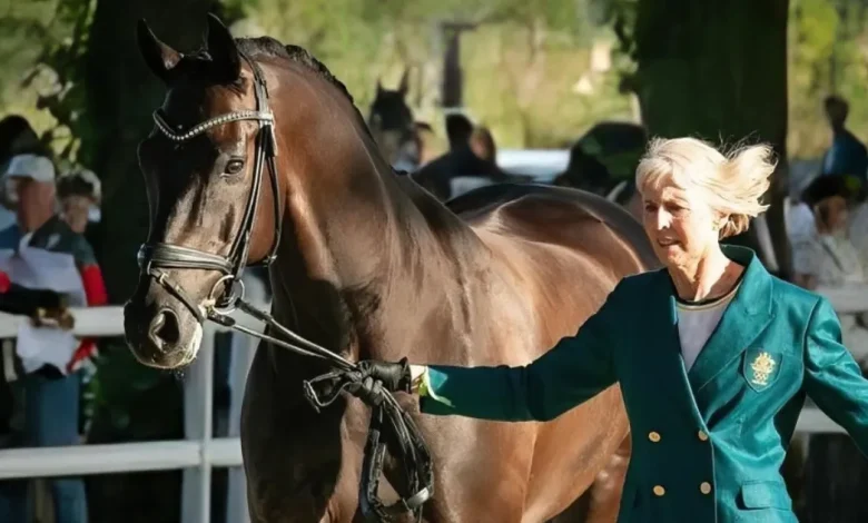 أكبر الرياضيين سناً يتألقون في أولمبياد باريس 2024