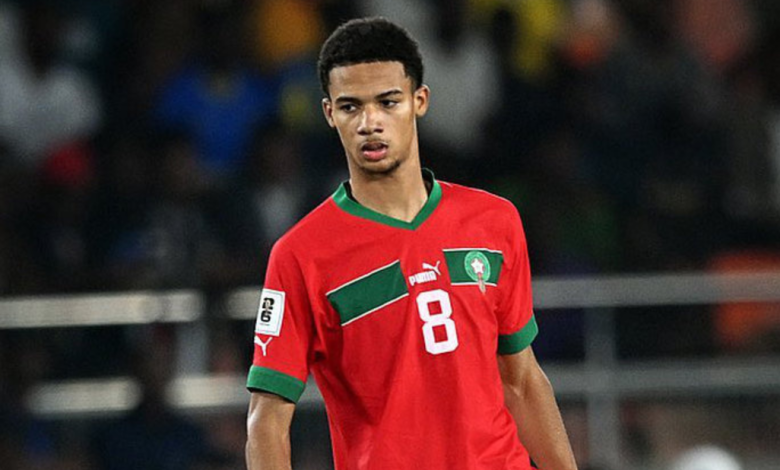 أمير ريتشاردسون يختار فيورنتينا وجهةً جديدة له في الدوري الإيطالي