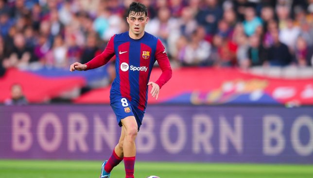 مهمة جديدة للا فوينتي: كيف سيوظف بيدري وأولمو في تشكيلة إسبانيا؟